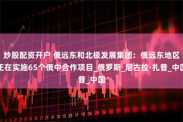 炒股配资开户 俄远东和北极发展集团：俄远东地区正在实施65个俄中合作项目_俄罗斯_尼古拉·扎普_中国