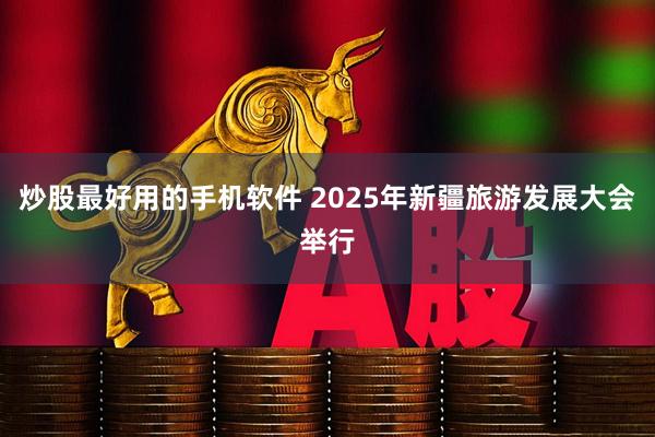 炒股最好用的手机软件 2025年新疆旅游发展大会举行